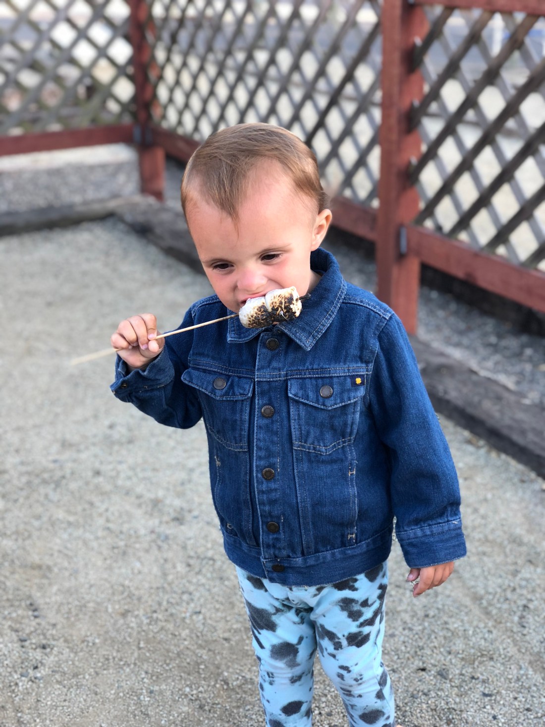 BD4DF076-B261-49F9-8054-FA5F1B9771FC