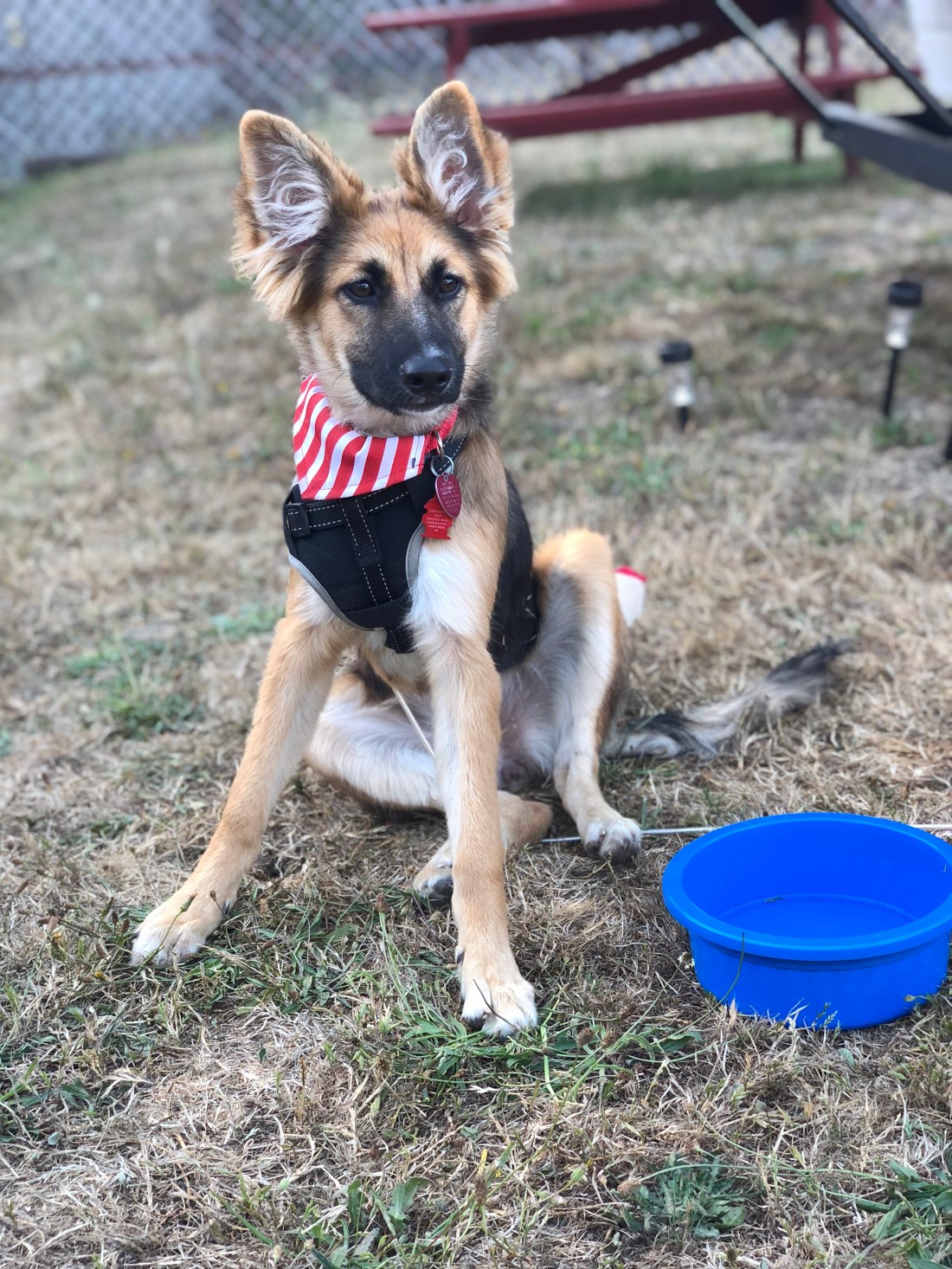 BD7A6EB9-A878-4920-8D9C-6822D95FA558