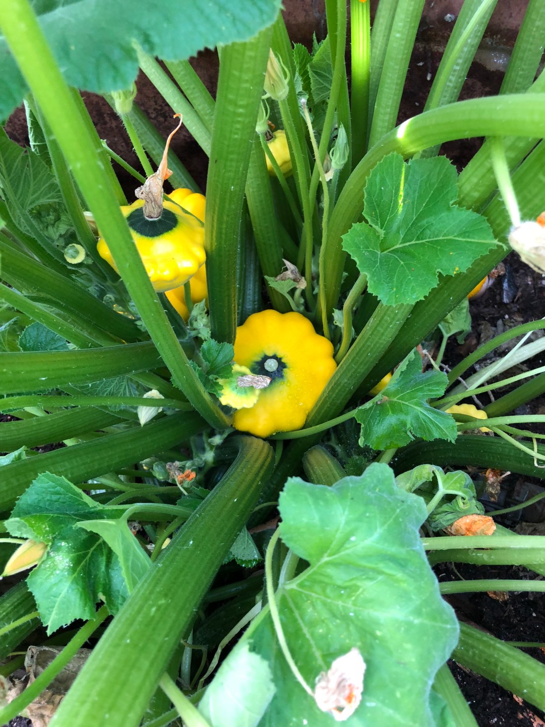 C42BFBBE-2112-40B9-827B-BE7DFE698234